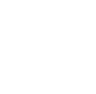 Ally India Logo